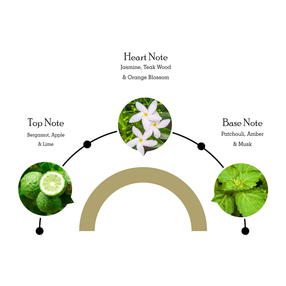 Diagram of a fragrance's top, heart, and base notes with corresponding images of flowers and fruits.